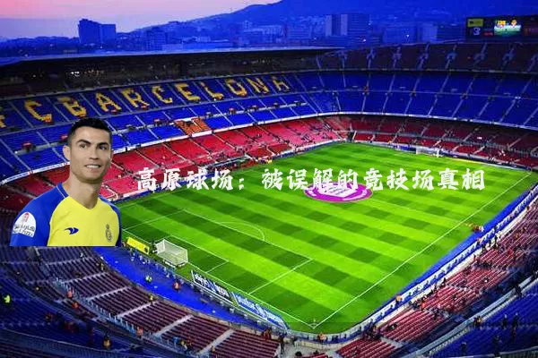 高原球场：被误解的竞技场真相