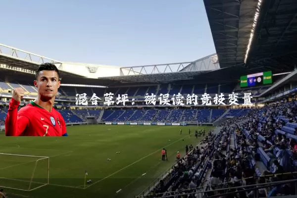 混合草坪：被误读的竞技变量